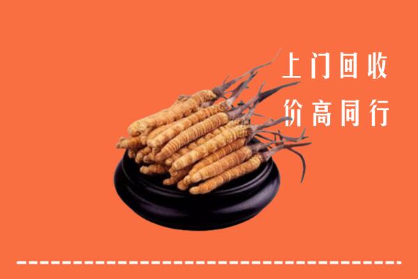 高价求购：海盐县回收散虫草